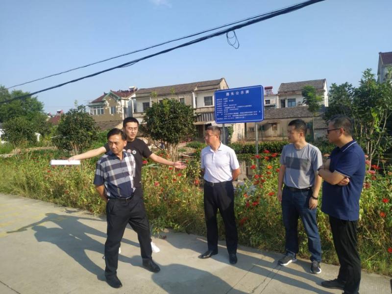 省领导检查湾沚区路长制实施情况